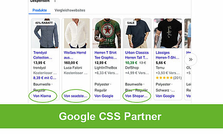 Google CSS Partner