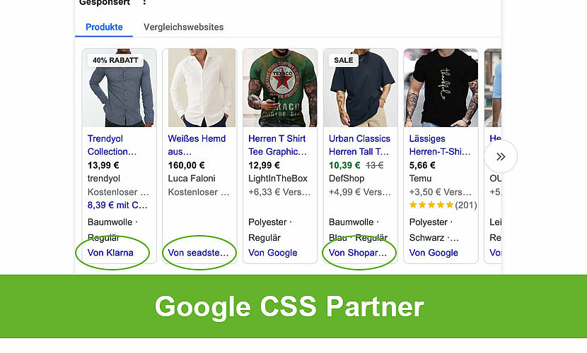 Google CSS Partner