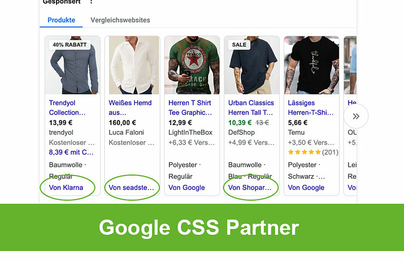 Google CSS Partner