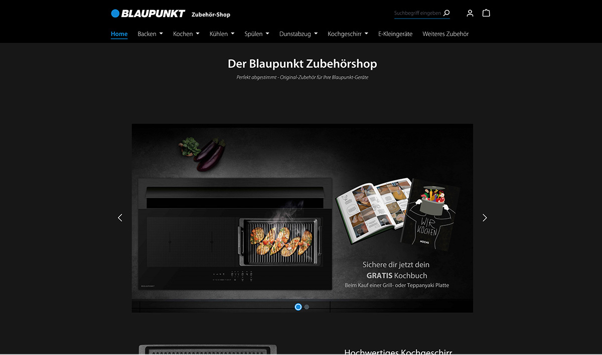 Website Screenshot Blaupunkt