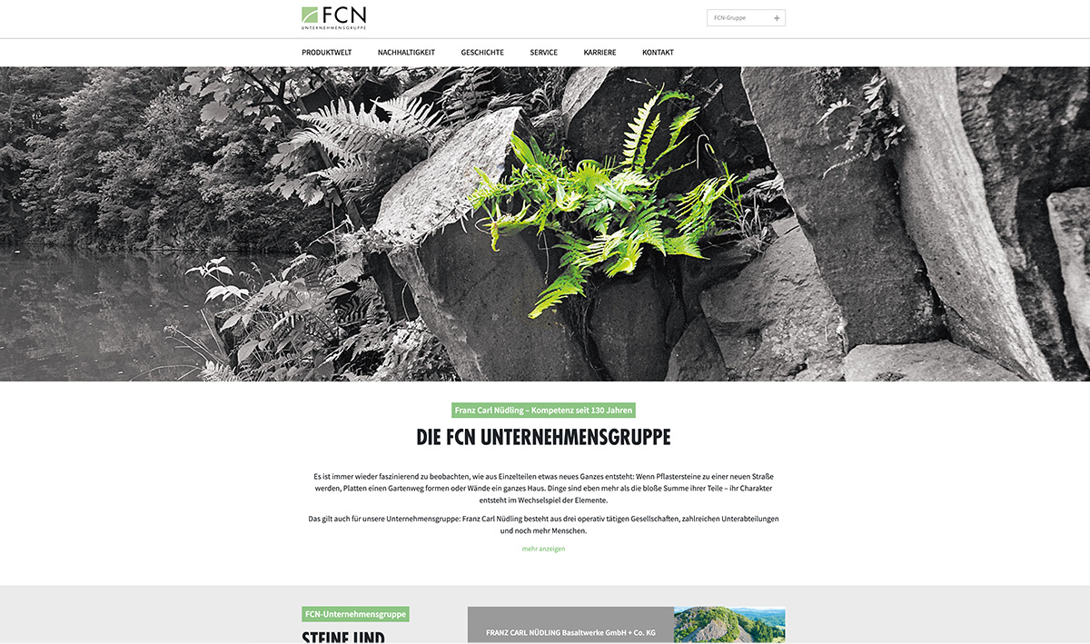 Screenshot FCN Nüdling