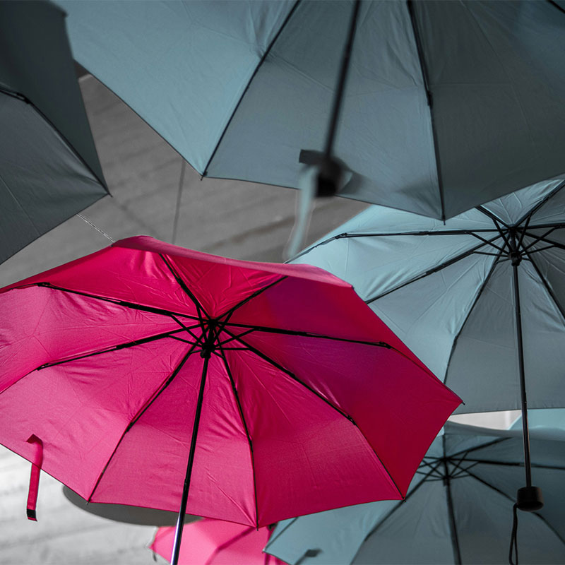 Ein rosa Regenschirm umgeben von vielen grauen
