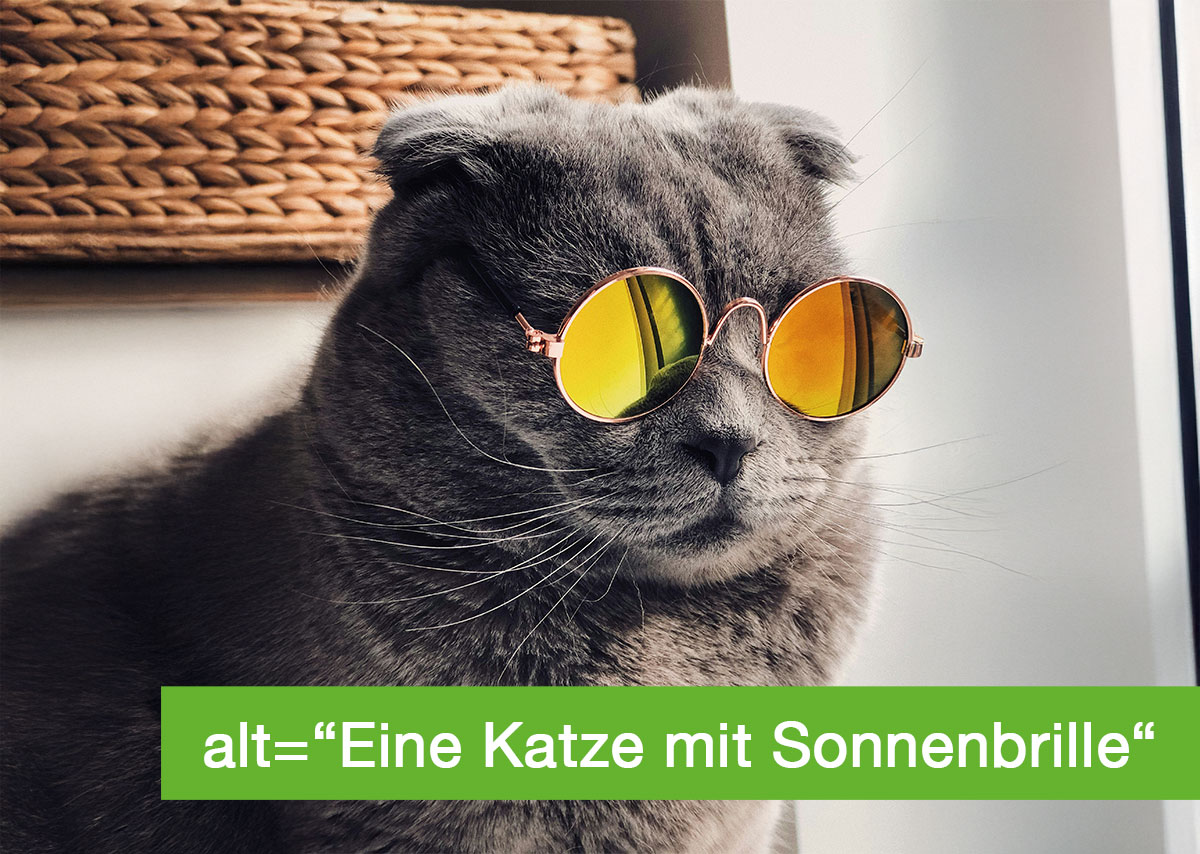 Eine Katze mit Sonnenbrille. Über dem Bild liegt ein grünes Rechteck mit weißem Text