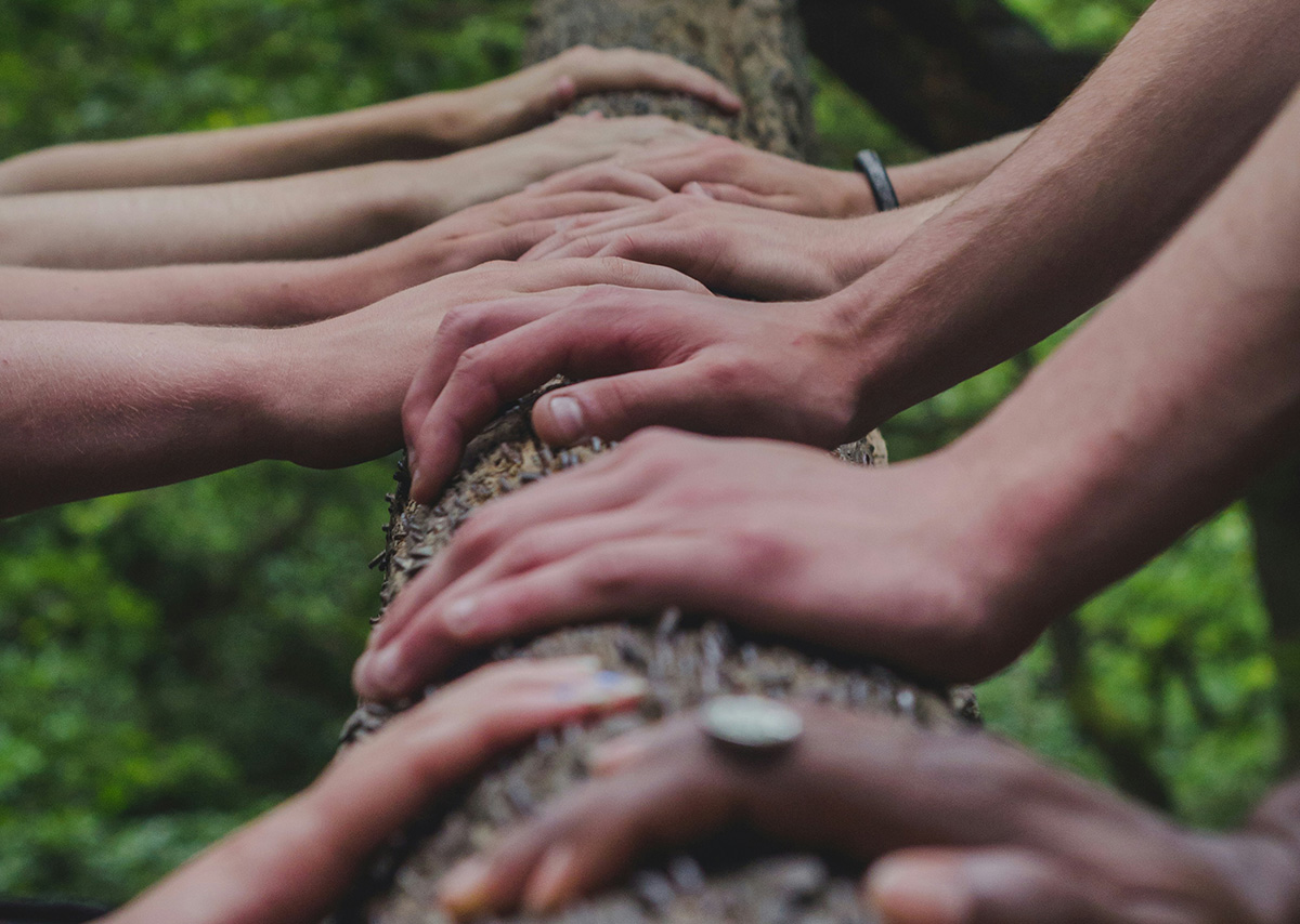 Was bedeutet Community Management? Viele verschiedene Hände und Arme auf einem Baumstamm im Wald